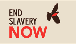 End Slavery Now